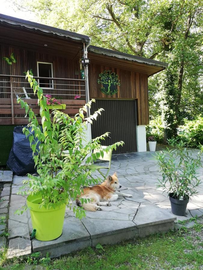 Titi'S Chalet Durbuy Exterior photo